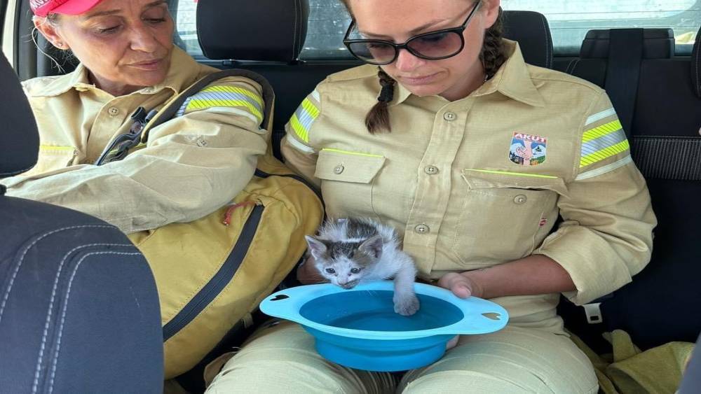 AKUT Kuşadası ekibi, orman yangınının ardından hayvanlara destek sağladı