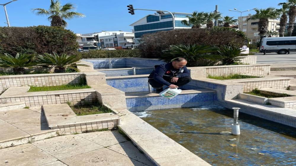 Didim’de süs havuzları bakıma alındı
