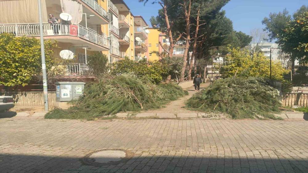 Efeler Belediyesi’nden budama atıkları uyarısı