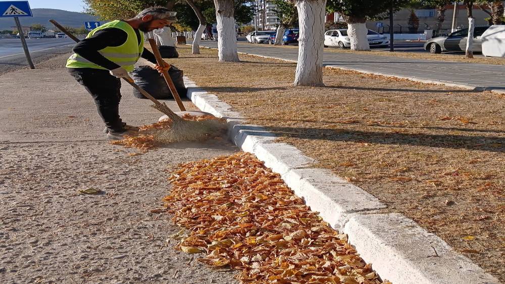 Germencik’te sonbahar temizliği