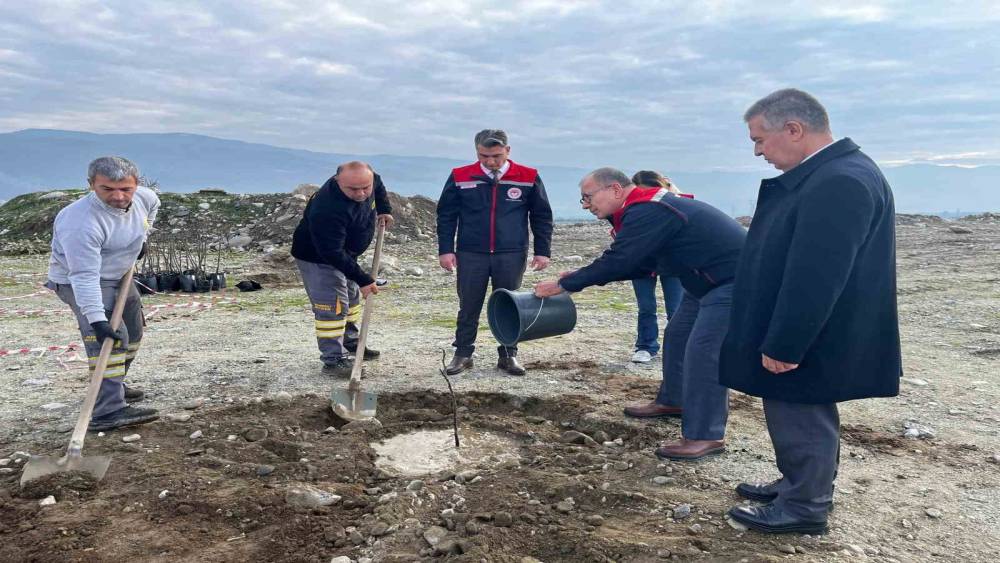 Buharkent’te Kaliteli İncir, Kaliteli İlek projesi kapsamında fidan dikimi gerçekleştirildi