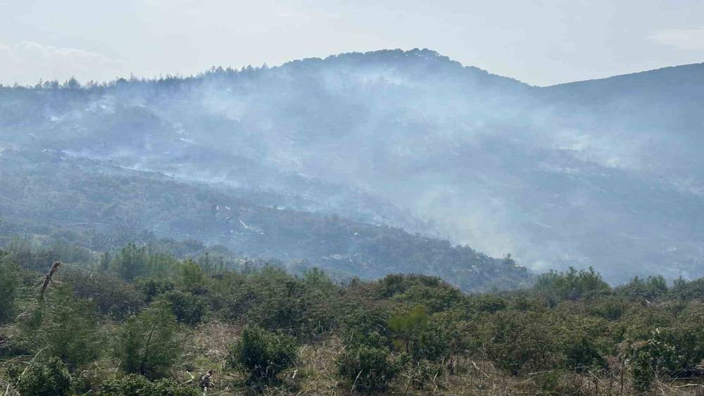 Bozdoğan’daki orman yangını kontrol altına alındı
