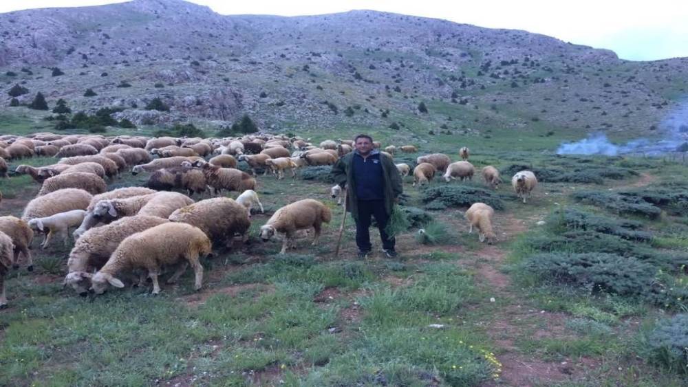 Aydın’da düzenlenen Yörük Çalıştayı’nın sonuç raporu yayınlandı