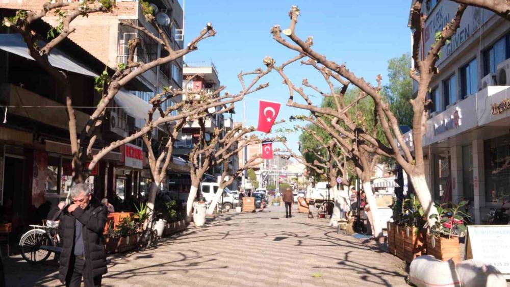 Büyükşehir İncirliova’da ağaçları budadı, vatandaşlar rahat bir nefes aldı