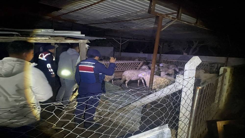 Jandarma ekipleri kayıp hayvanları bularak sahibine teslim etti